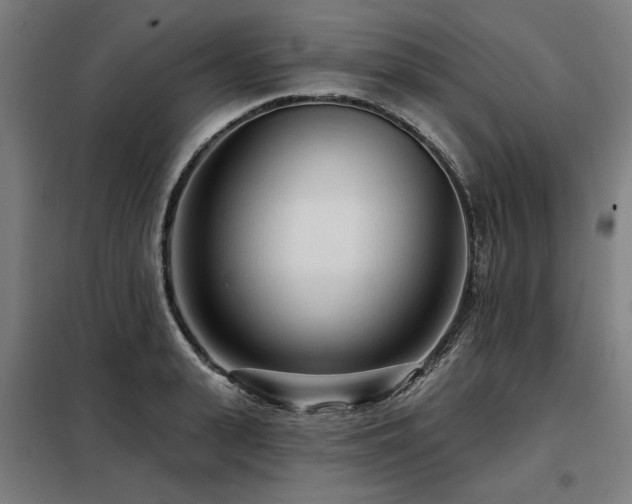 X0000098090943200804041216