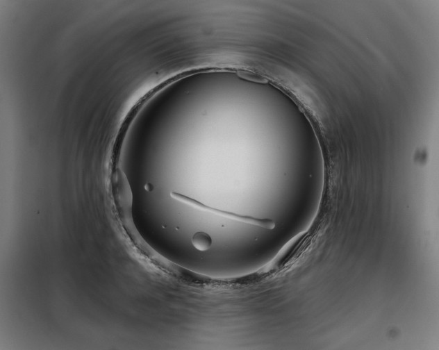 X0000098090944200804041217