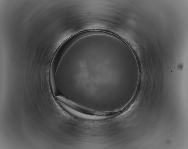 X0000098090945200804041217