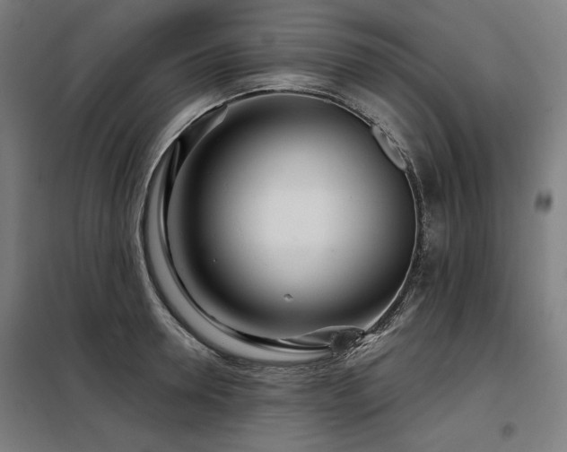X0000098090946200804041217