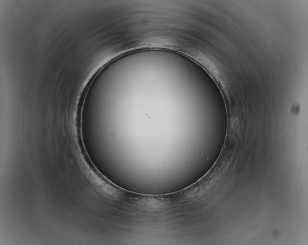 X0000098090947200804041217