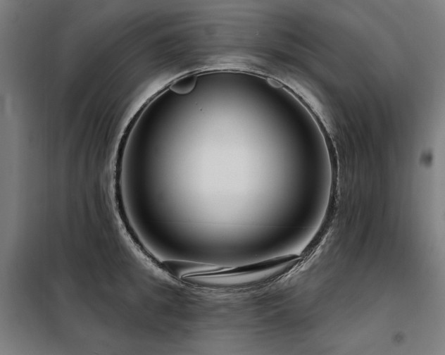 X0000098090949200804041217