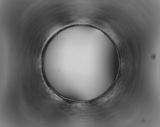 X0000098090950200804041217