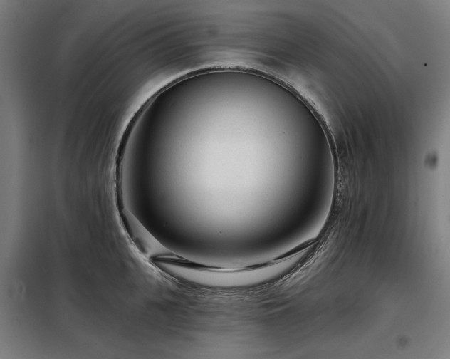 X0000098090951200804041217