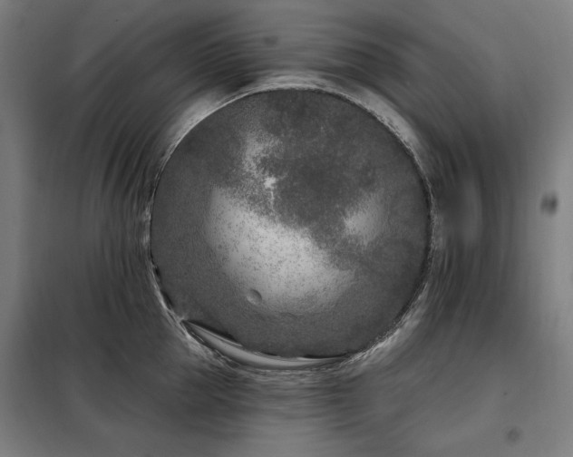 X0000098090953200804041217