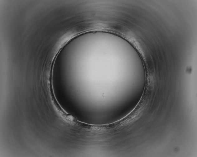 X0000098090954200804041217