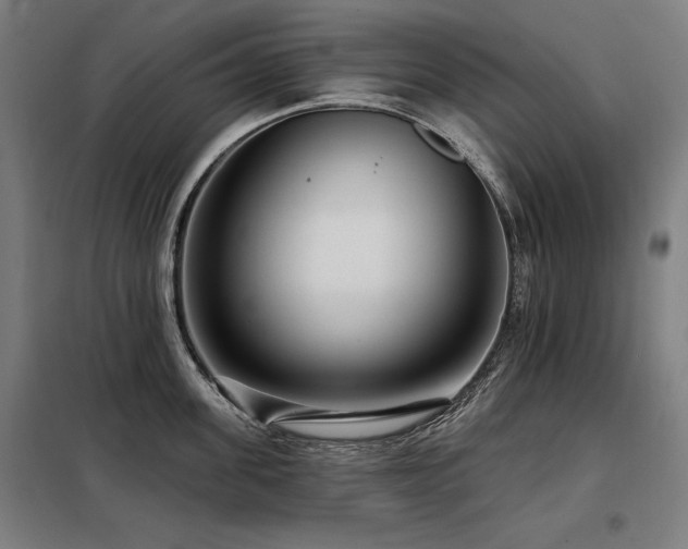 X0000098090955200804041217