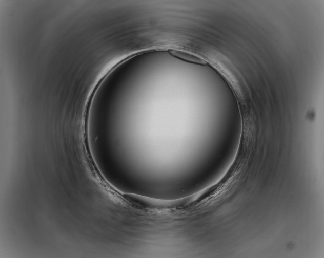 X0000098090956200804041217
