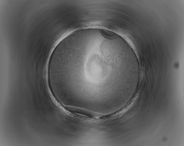 X0000098090957200804041217