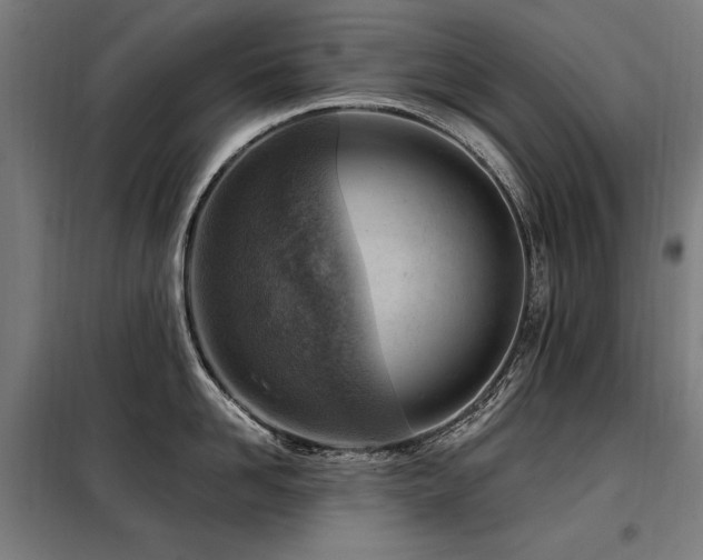 X0000098090958200804041217