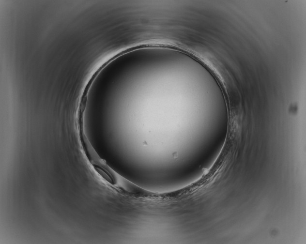 X0000098090959200804041217