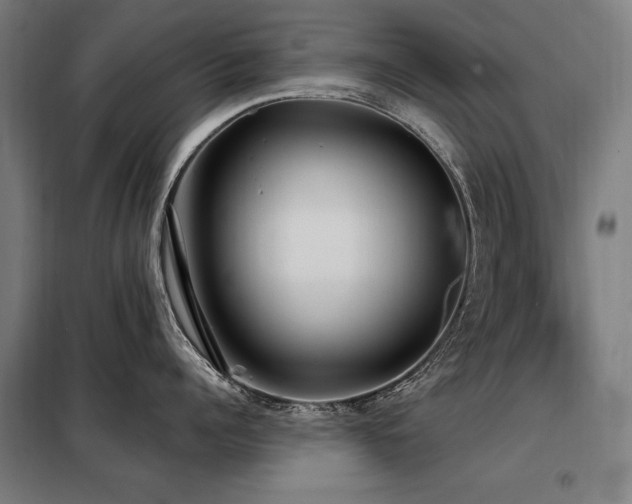 X0000098090960200804041217