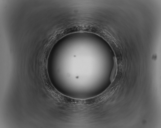 X0000098090961200804041216