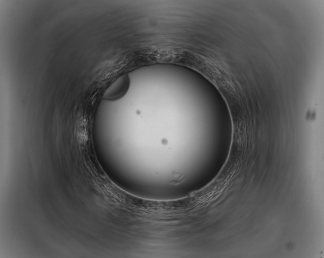 X0000098090962200804041216