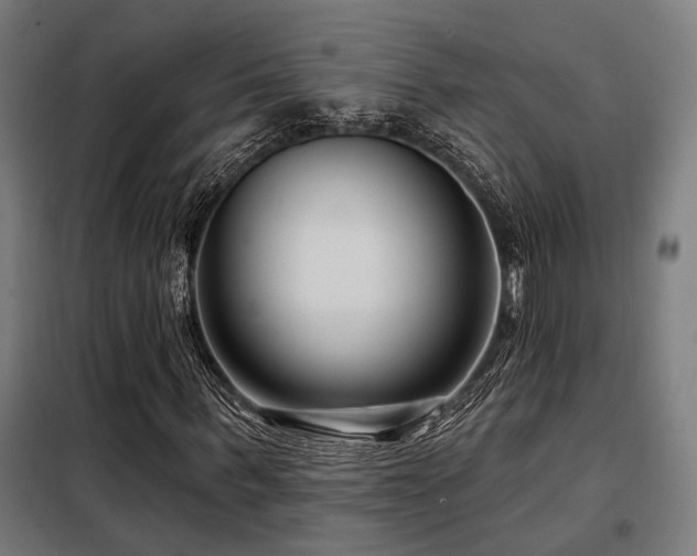 X0000098090963200804041216