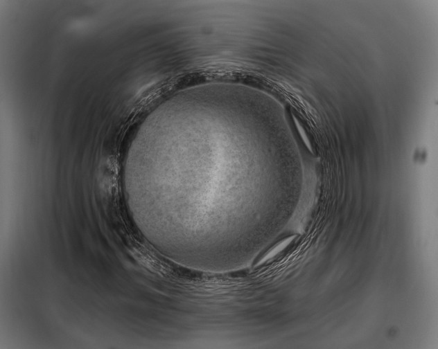 X0000098090964200804041216