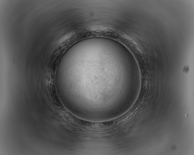 X0000098090966200804041216