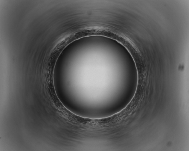 X0000098090967200804041216