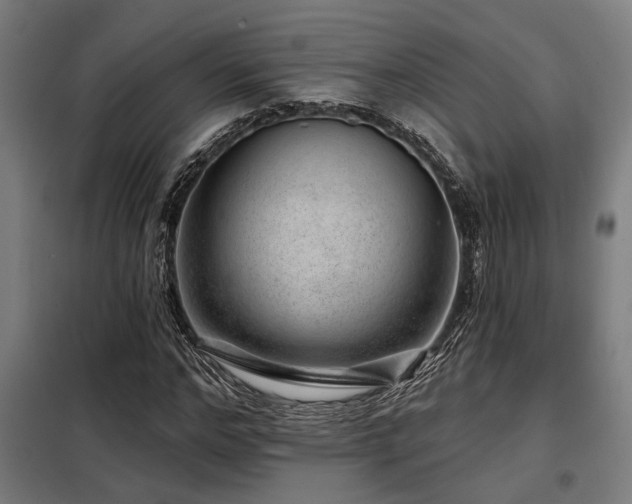 X0000098090968200804041216