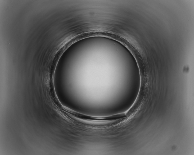 X0000098090969200804041216