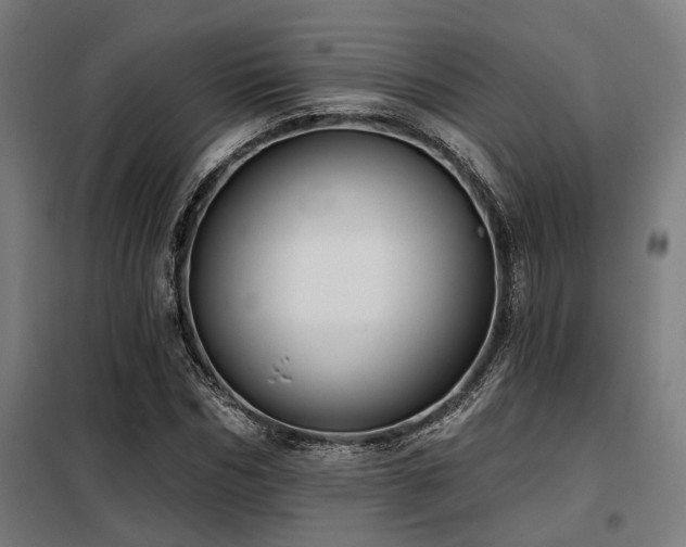 X0000098090970200804041216