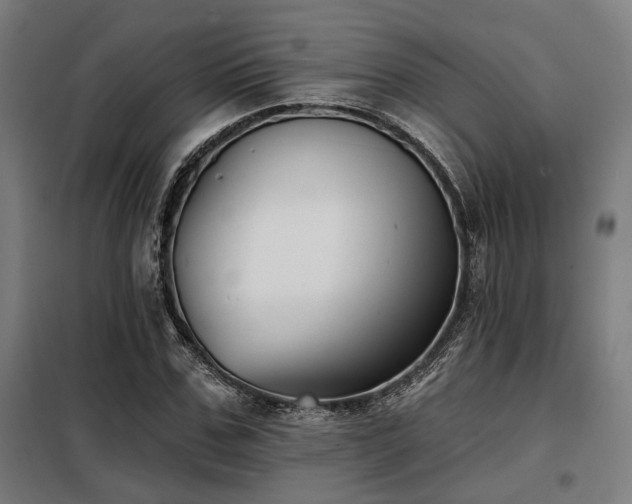 X0000098090971200804041216