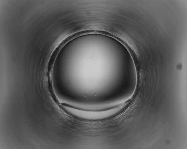 X0000098090972200804041216