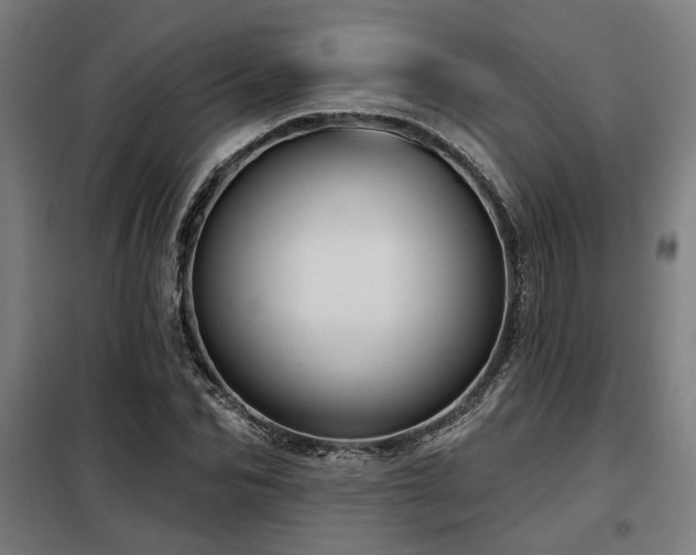 X0000098090974200804041216