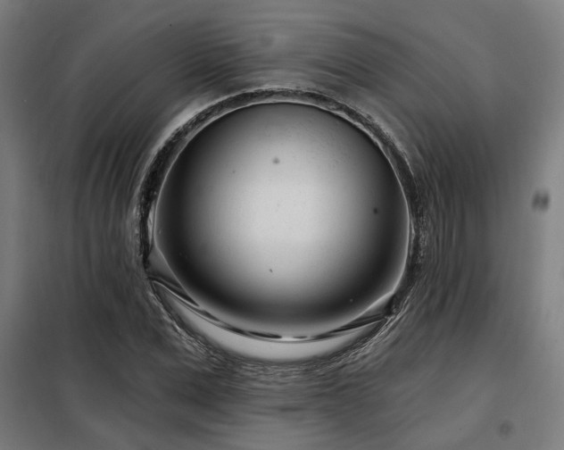 X0000098090975200804041216