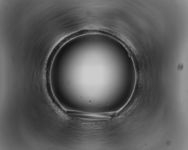 X0000098090976200804041216