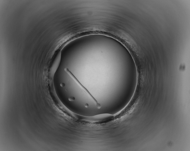 X0000098090977200804041216