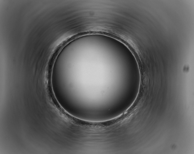 X0000098090979200804041216