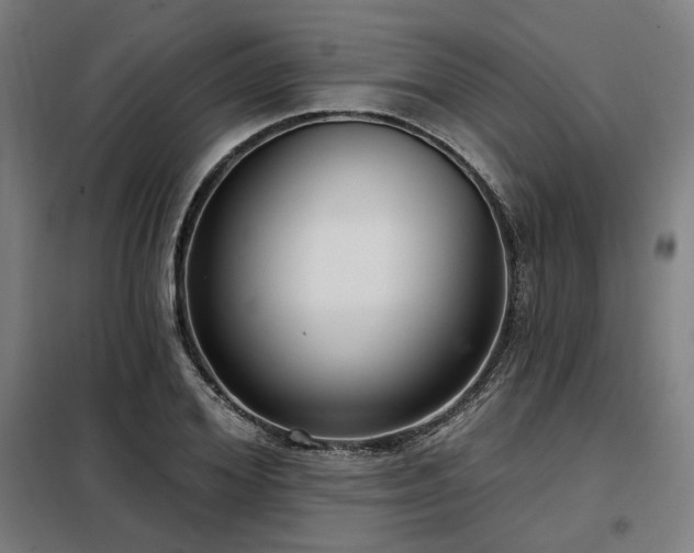 X0000098090980200804041216