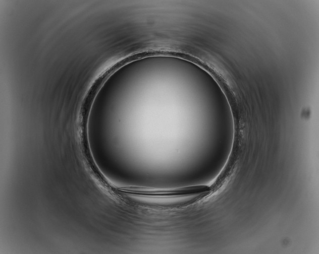 X0000098090981200804041216