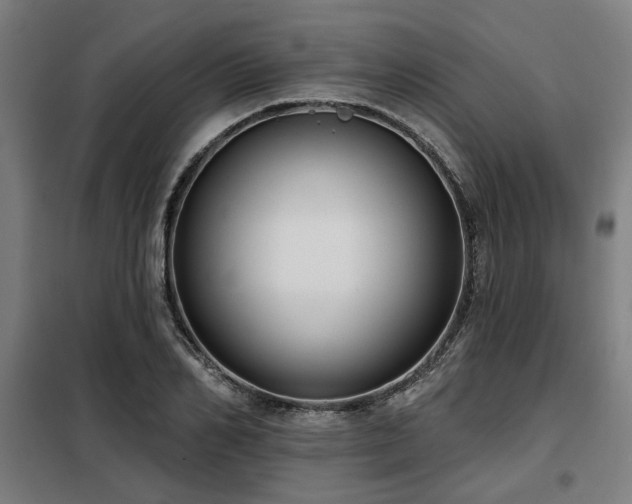 X0000098090982200804041216