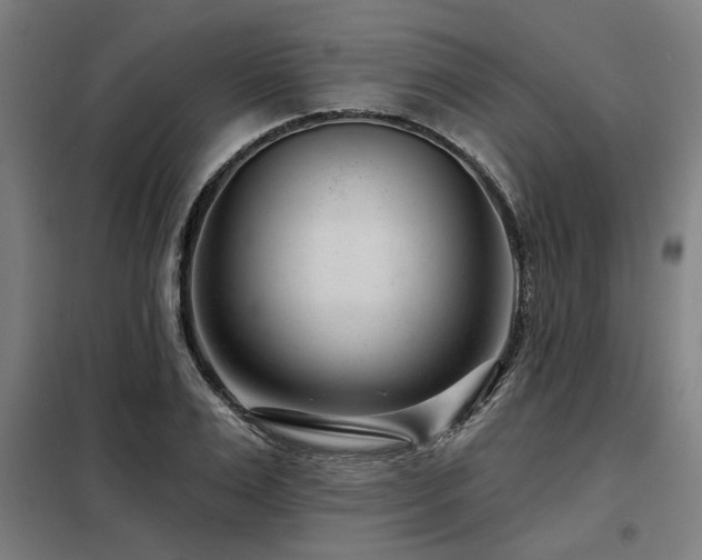 X0000098090983200804041216