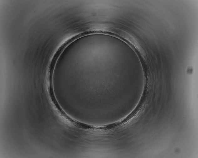 X0000098090984200804041216