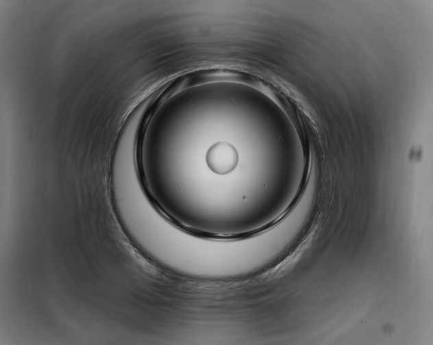 X0000098090985200804041216