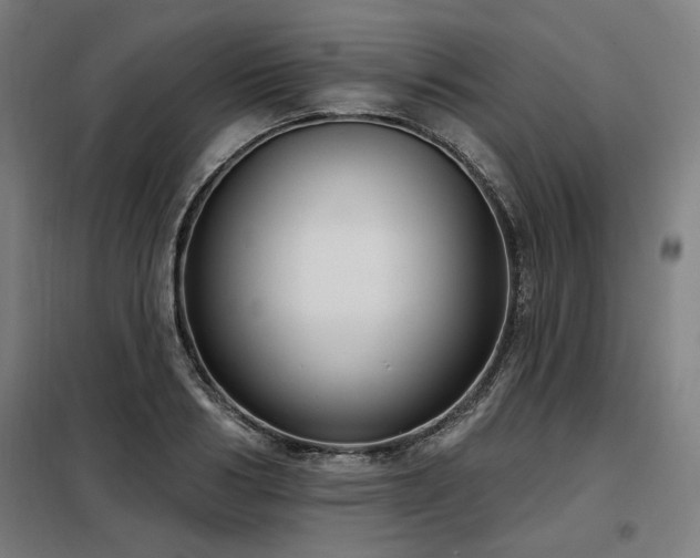 X0000098090986200804041216