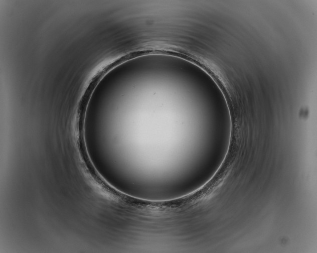 X0000098090987200804041216