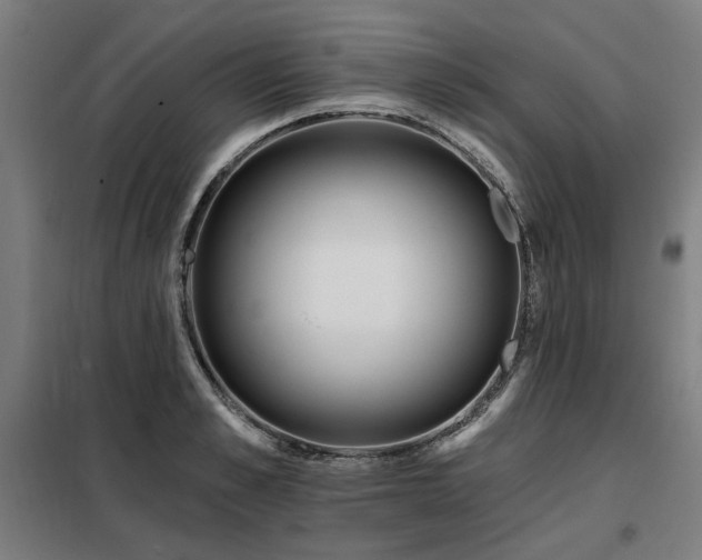 X0000098090989200804041216