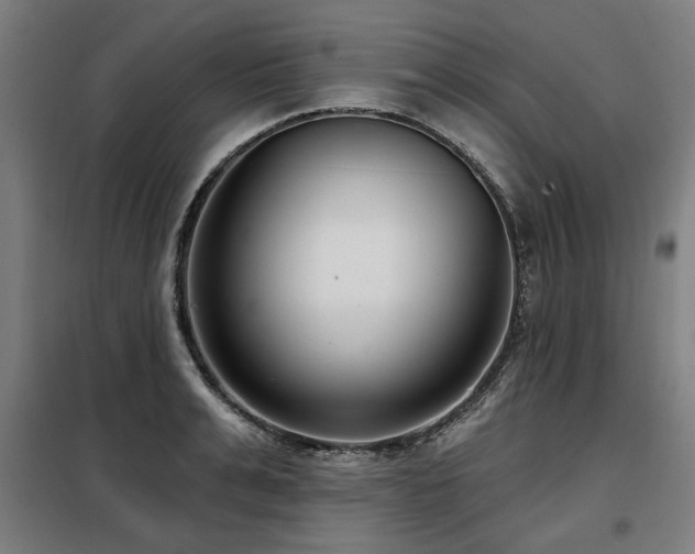 X0000098090991200804041216