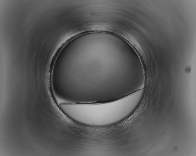 X0000098090992200804041216