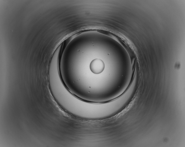 X0000098090993200804041216