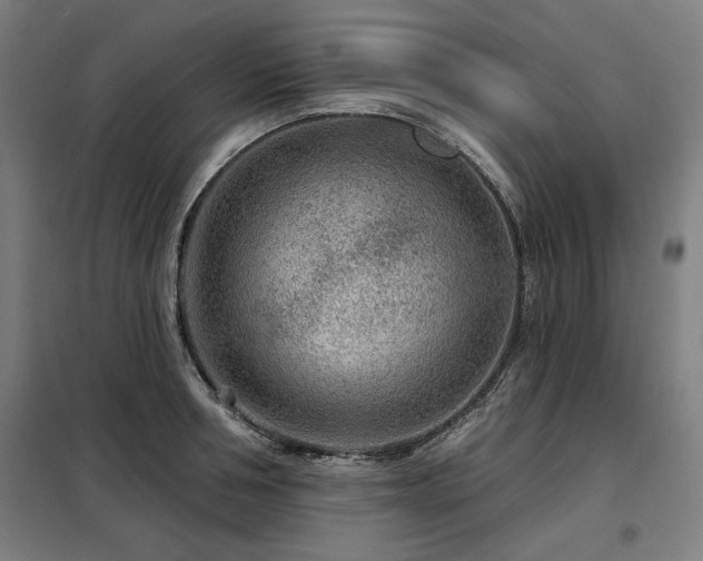 X0000098090994200804041216