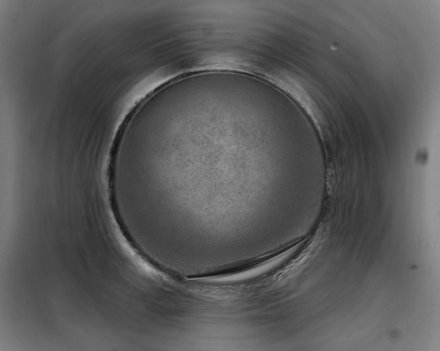 X0000098090995200804041216