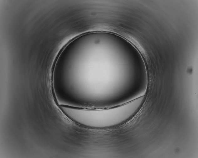 X0000098090996200804041216