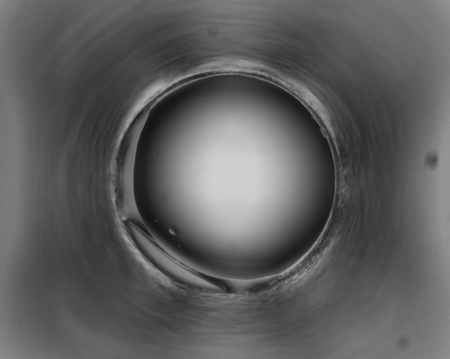 X0000098090997200804041216