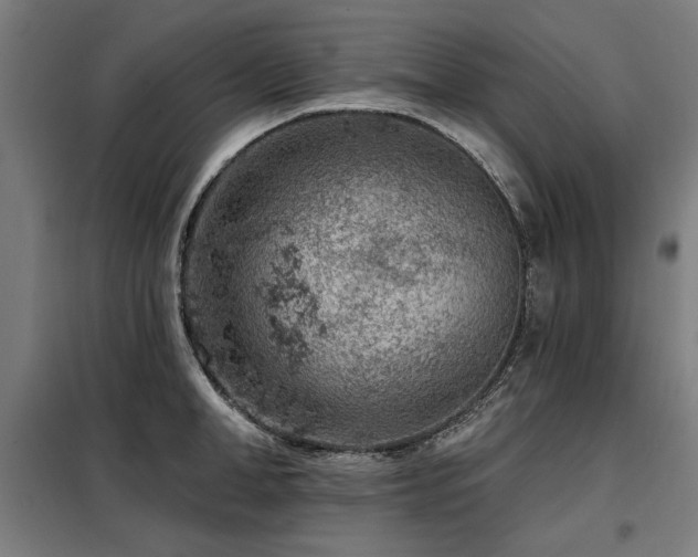 X0000098090998200804041216