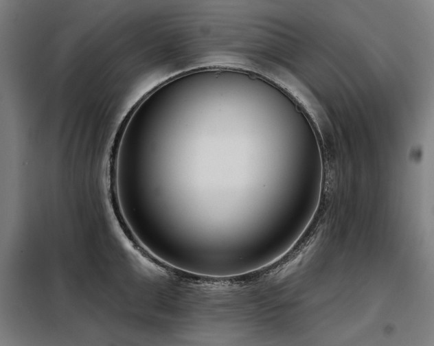X0000098090999200804041216